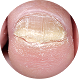 ����(�չ��� ������)