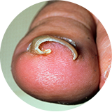 ���� ����