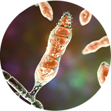 ����� ���� �� ����